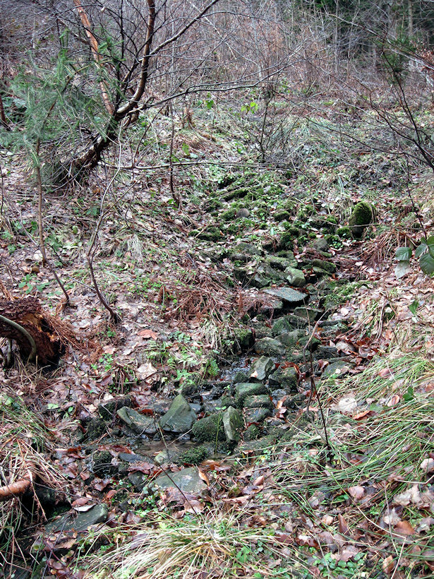 prameniště Pod Pastorkem (2486) - prosinec 2009