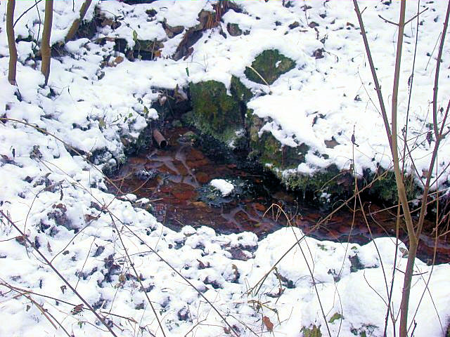 studánka U Kateřinského mostu (2502) - prosinec 2009