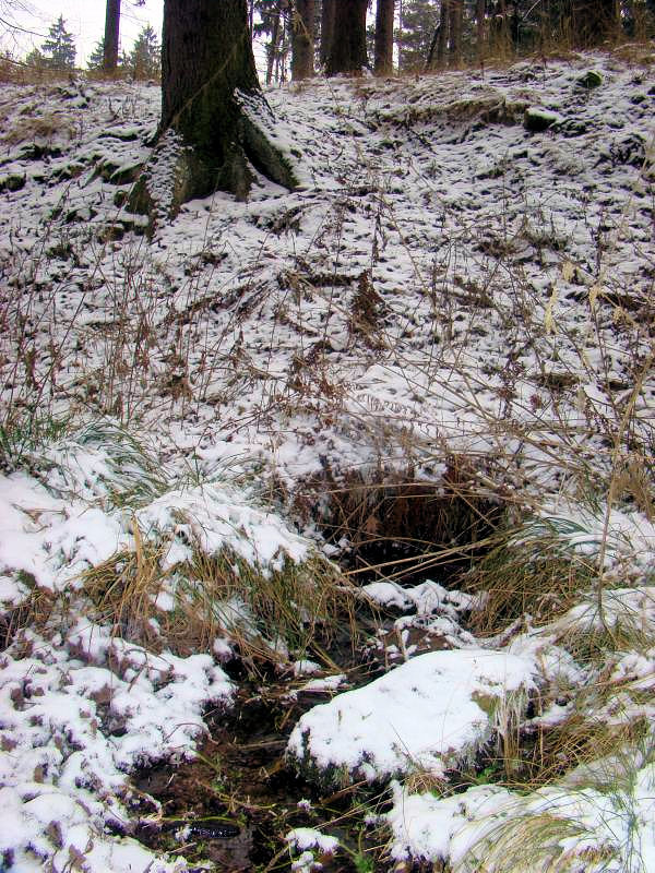 prameniště bez jména (2503) - prosinec 2009