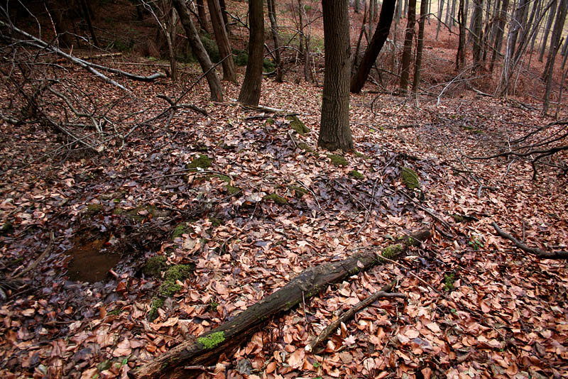 prameniště Pod Ocasem (2510) - prosinec 2009