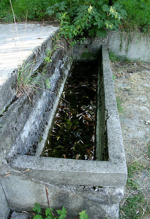 jiný vodní zdroj Dolní korýtko (2512) - prosinec 2009