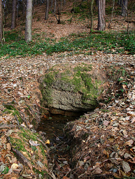 pramen Pod Pohořem (2513) - prosinec 2009