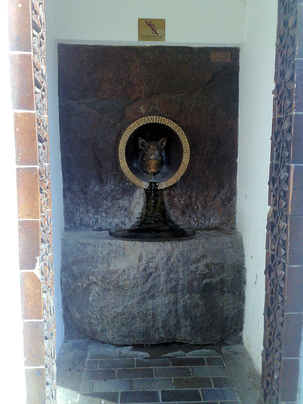 pramen Pravřídlo (2514) - prosinec 2009