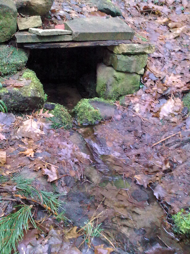 Hraběnčina studánka (2518) - leden 2010