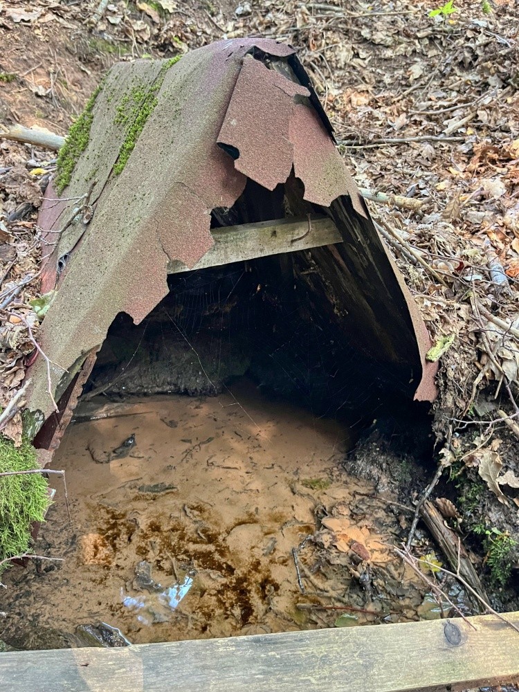 studánka Fenclův pramen (2531) - červenec 2024