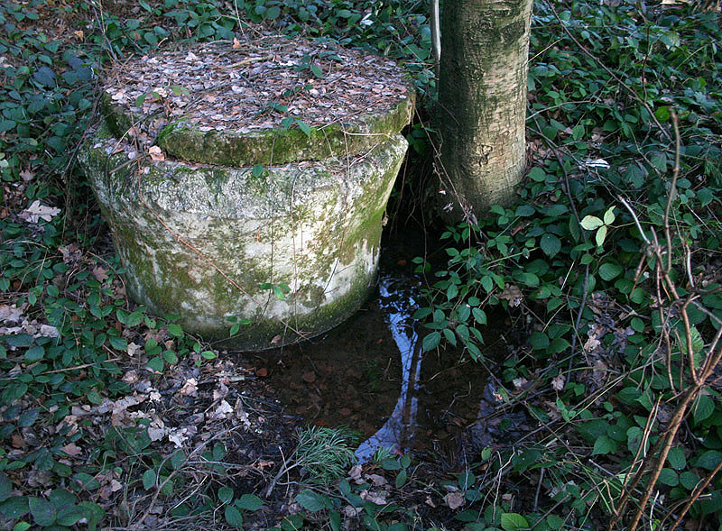 studna U Včelína (2545) - leden 2010