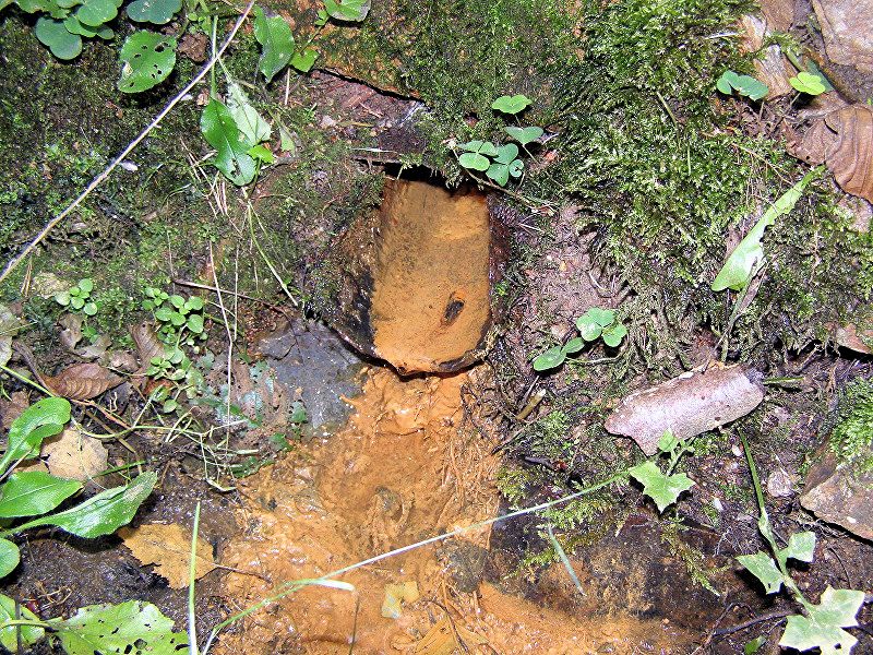 studánka U Partyzána (2547) - datum neznámé