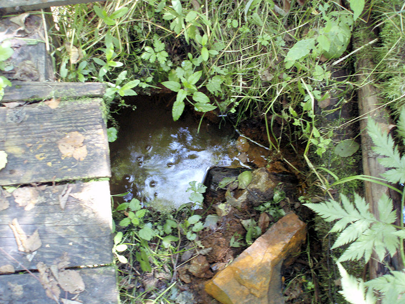 studánka Vlčí pramen 1 (2559) - leden 2010