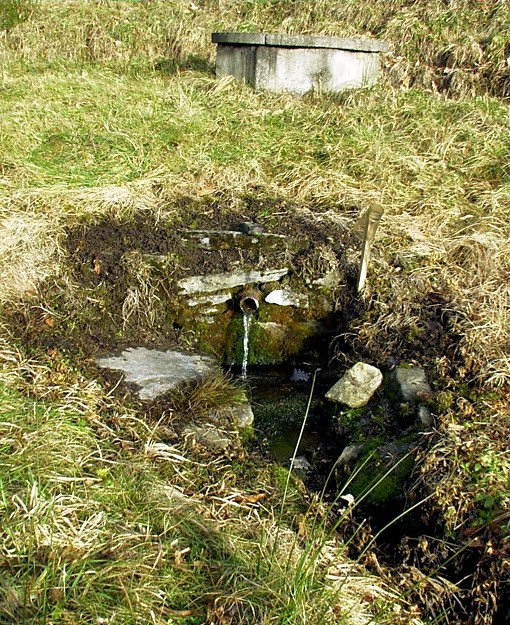 studánka bez jména (2563) - leden 2010