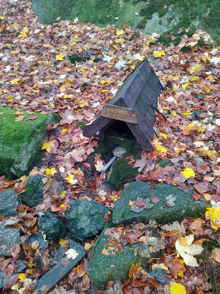studánka Manila (2570) - listopad 2024