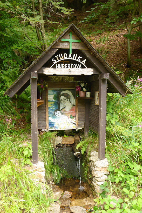 pramen Hubertova studánka (2574) - leden 2010