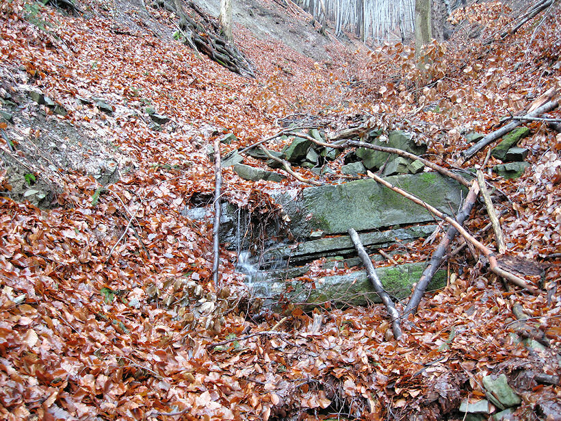 prameniště bez jména (2600) - leden 2010