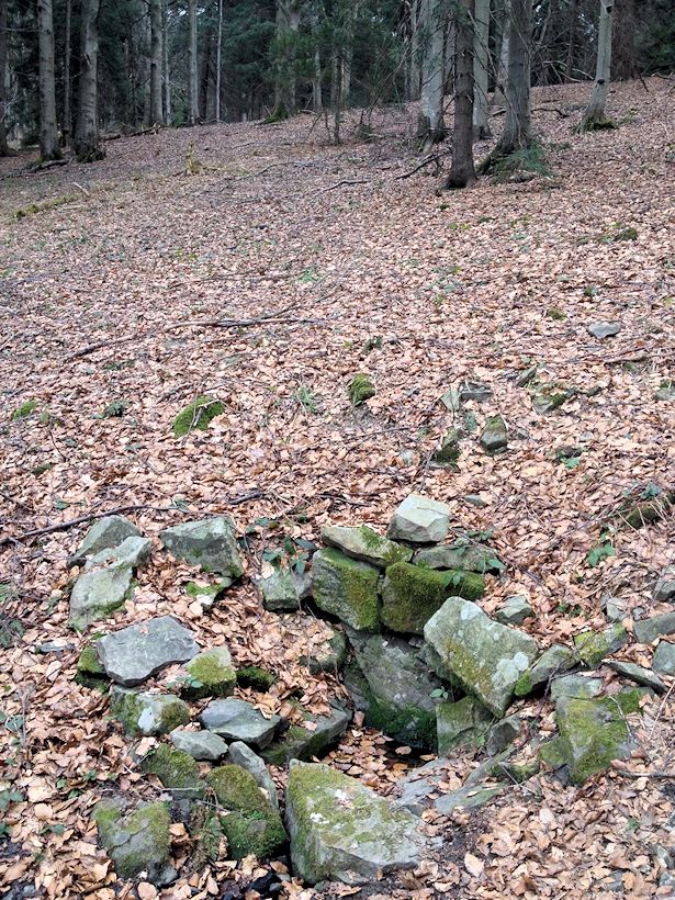 studánka Pod Stolečným vrchem (2603) - leden 2010