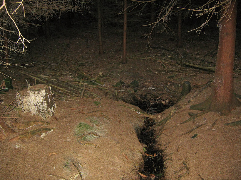 studánka Cikánka (2624) - leden 2010