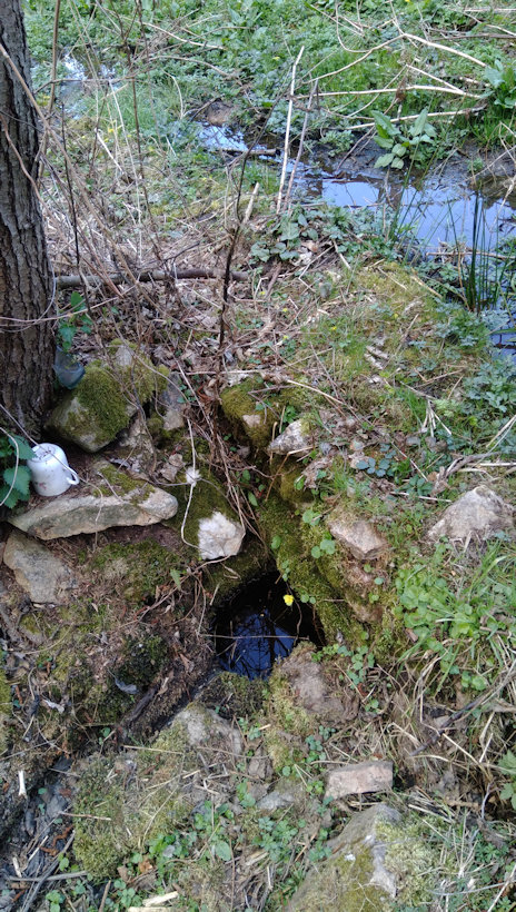 studánka Pod Trafikou (2626) - duben 2020