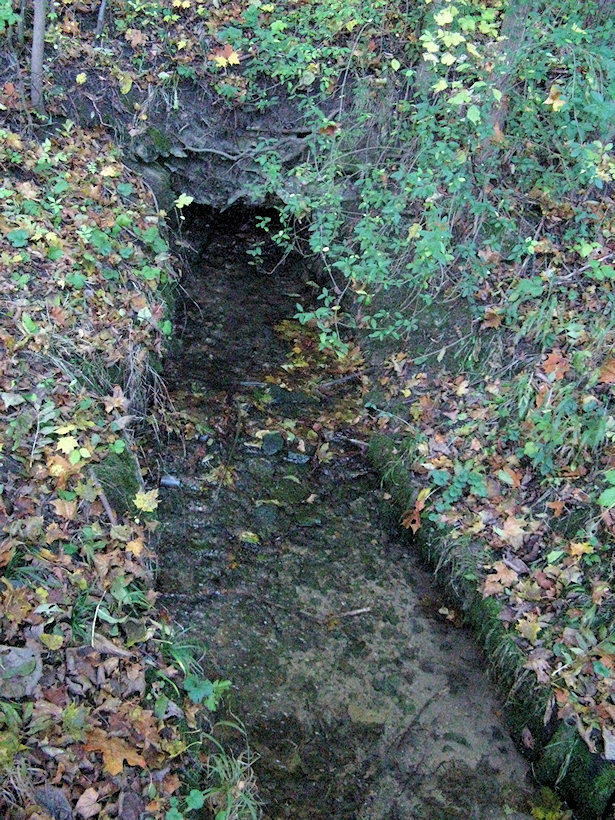 studánka Hertička (2639) - leden 2010