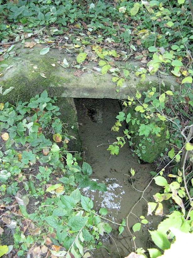 studánka Kociánka (2642) - leden 2010
