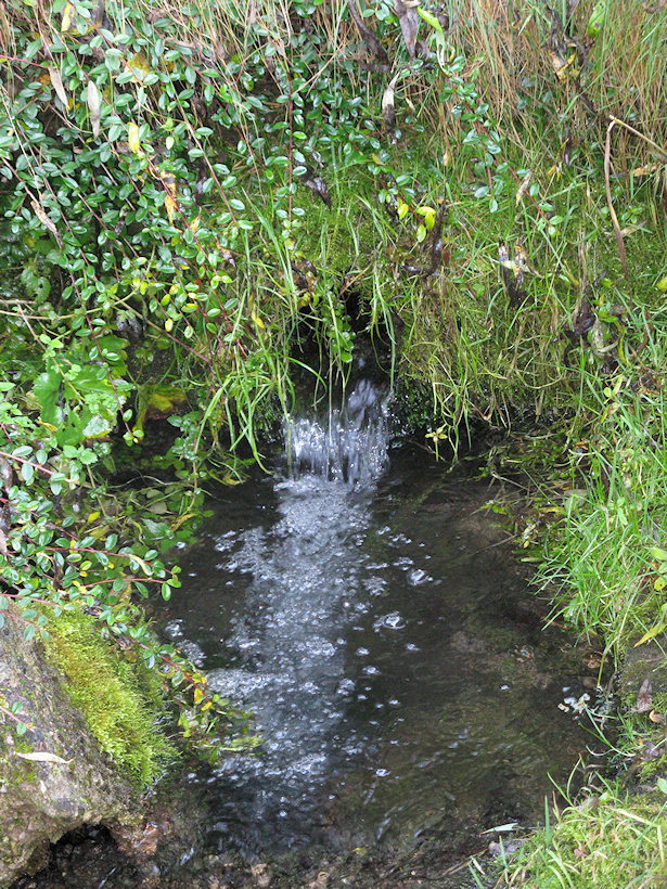 Karlíkova studánka (2646) - leden 2010