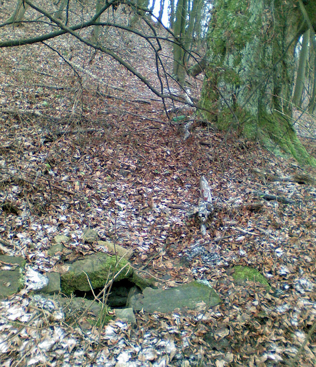 studánka U lípy (2653) - leden 2010