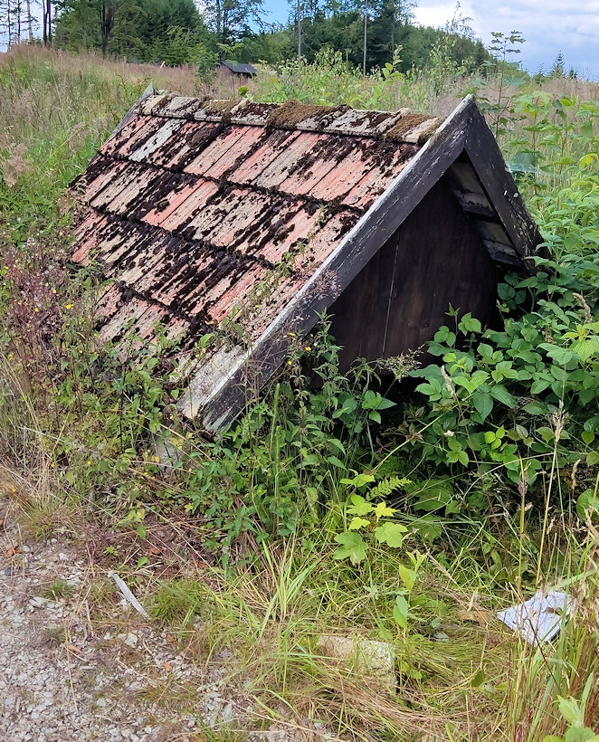 studánka Pod silnicí (2655) - červenec 2022
