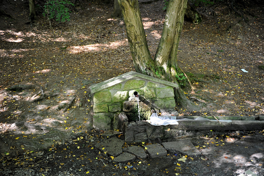 studánka Kopaná (2665) - leden 2010