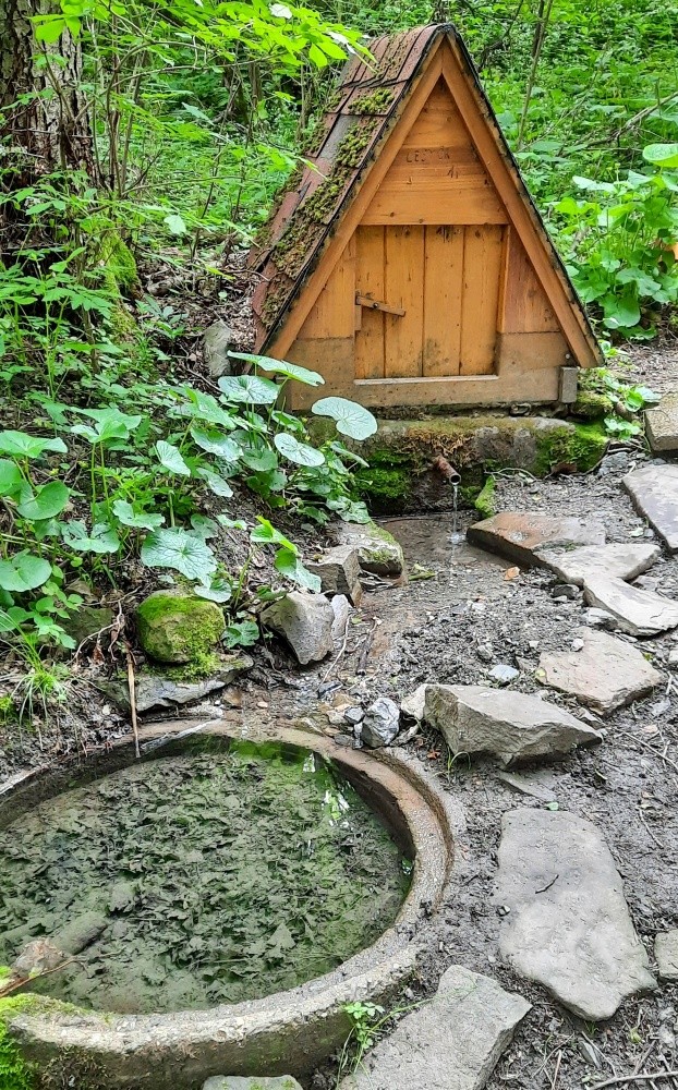 studánka Za lesem (2668) - květen 2025