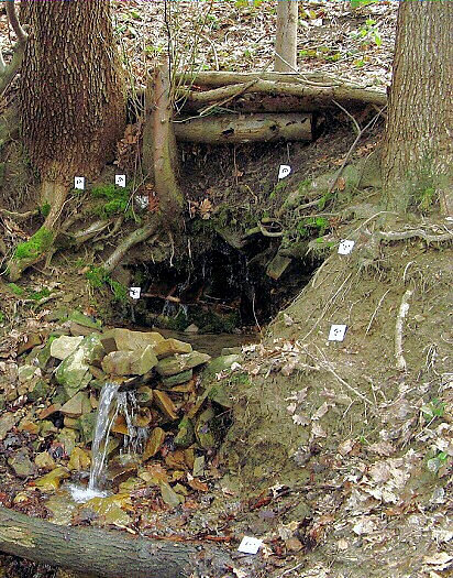 studánka Vlčí pramen (2686) - únor 2010