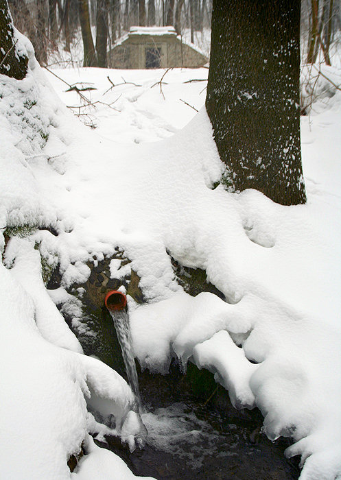 jiný vodní zdroj Šutyrova studánka (2694) - únor 2010