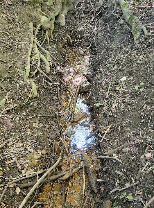 pramen Nad Cibulkou (2722) - únor 2010