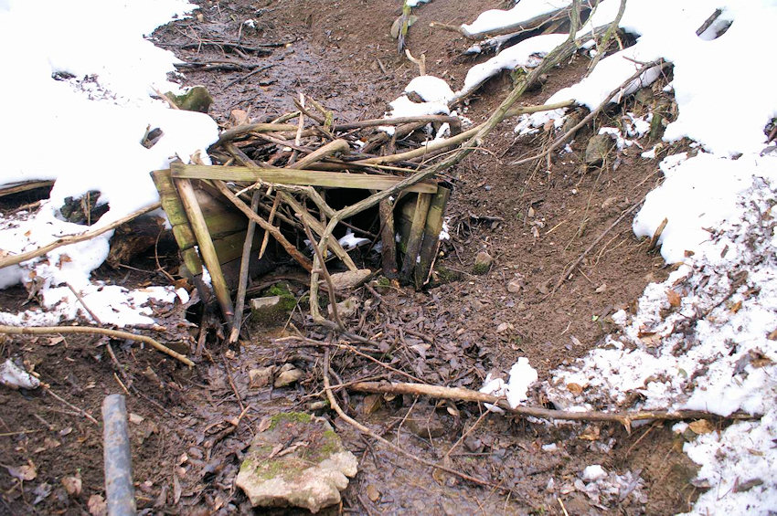 prameniště Nad Lipany (2734) - únor 2010