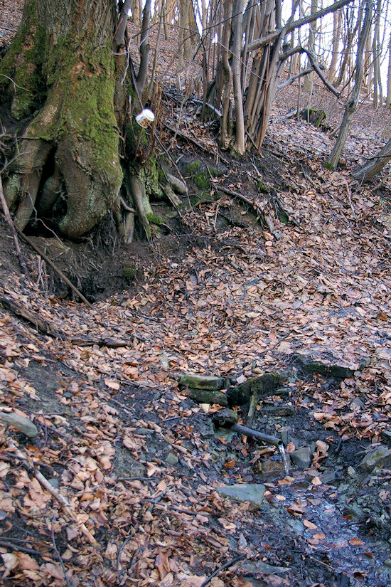 Lysákova studánka (2753) - březen 2010