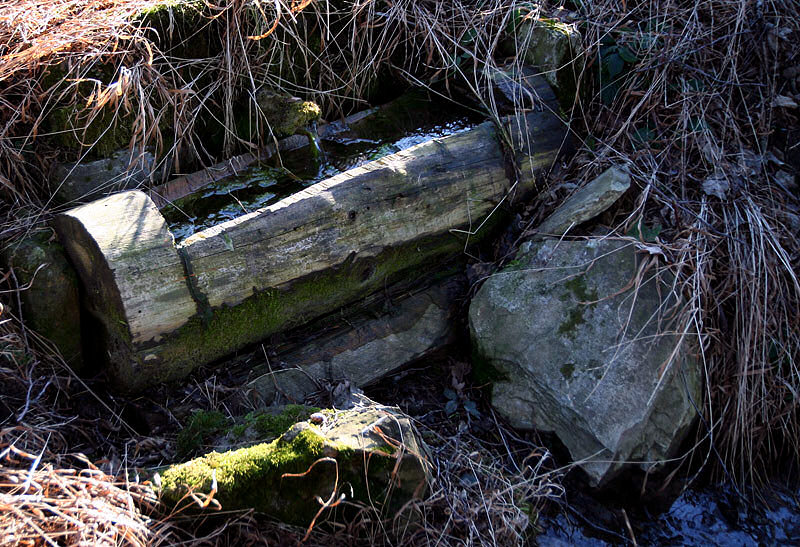 studánka Za Kostelem (2759) - březen 2010