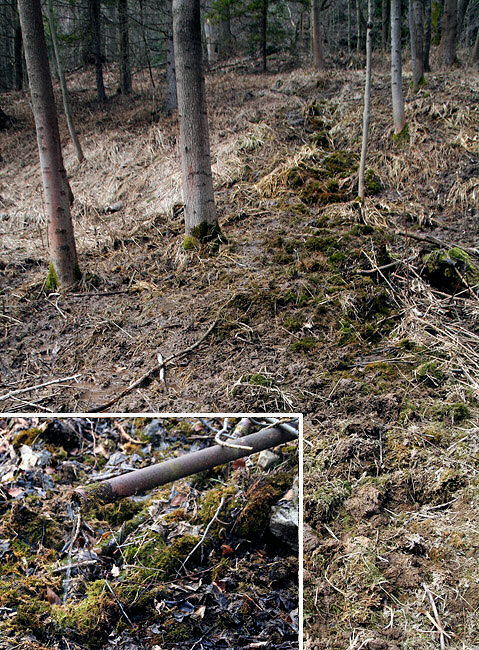 prameniště Ve Chvalčovském lese (2765) - březen 2010