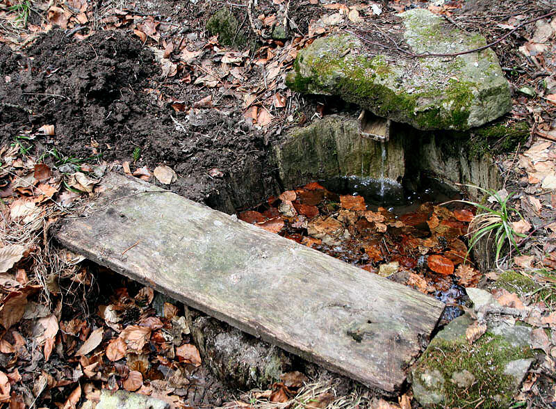 Dřevěná studánka (2766) - březen 2010