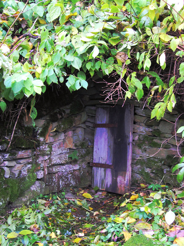 studánka U Micinek (2772) - březen 2010