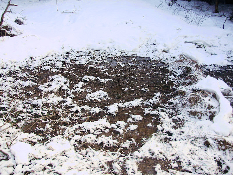 prameniště bez jména (2798) - březen 2010
