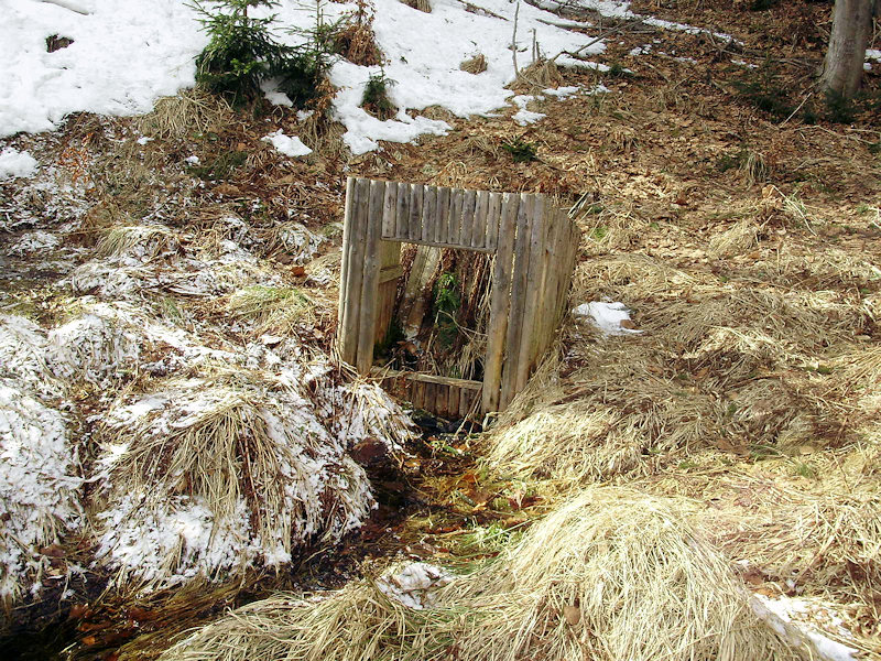 studánka Rosnička (2799) - březen 2010