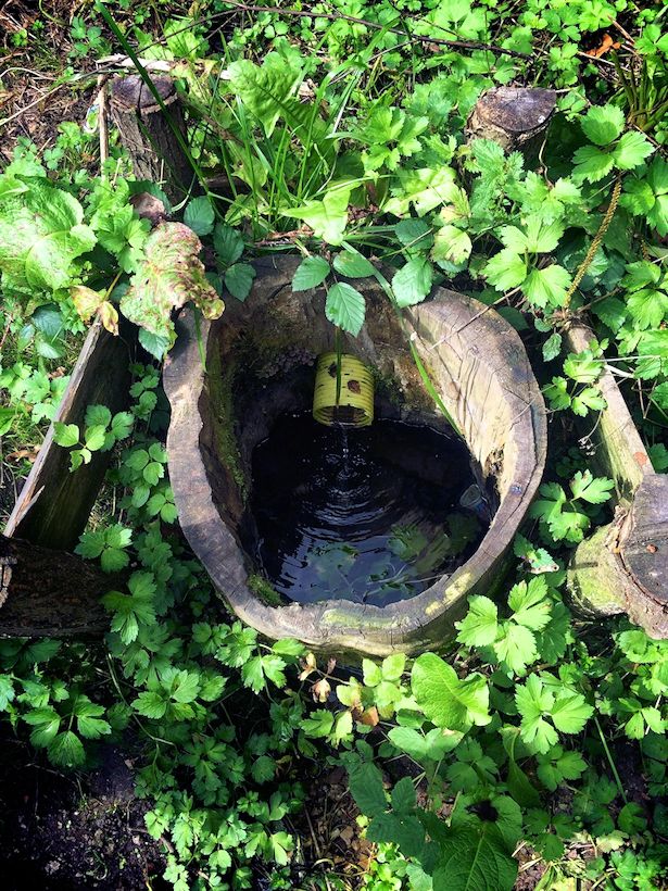 studánka U Váňova kamene (2812) - datum neznámé