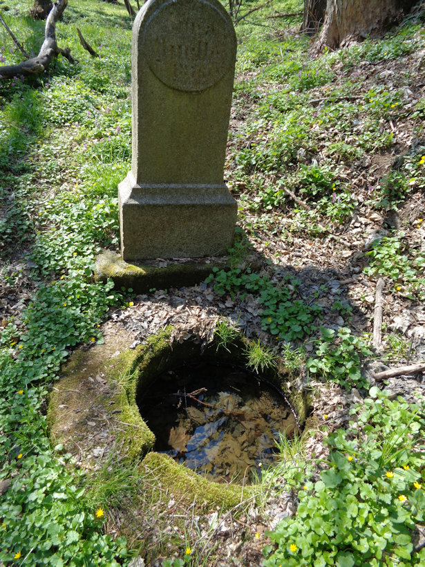 studánka Quelle Anna (2818) - duben 2022