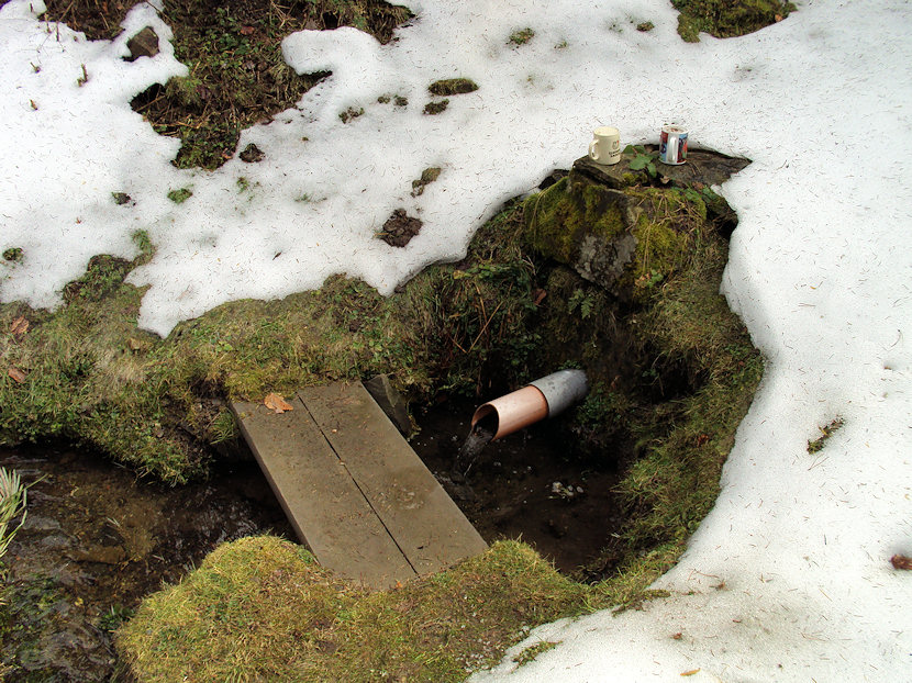 studánka U Bystróšky (2821) - duben 2013
