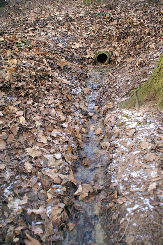 pramen Pod cestou (2830) - březen 2010