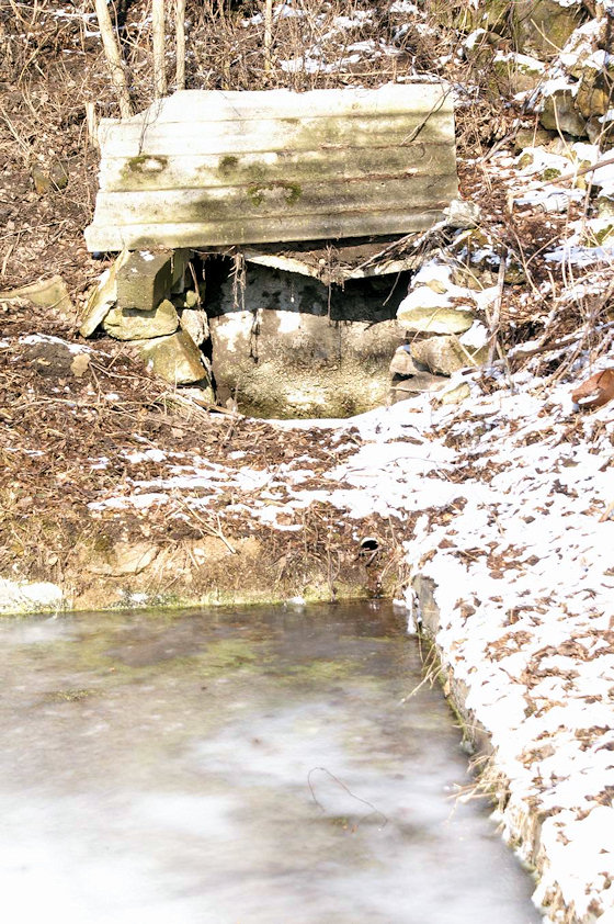 studánka U hřbitova (2831) - březen 2010