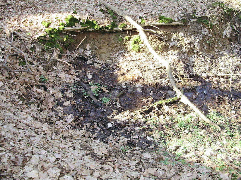 prameniště bez jména (2834) - březen 2010