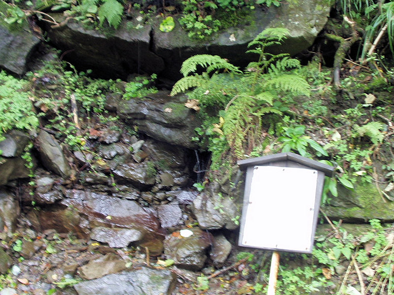 pramen Hladná voda (2837) - březen 2010