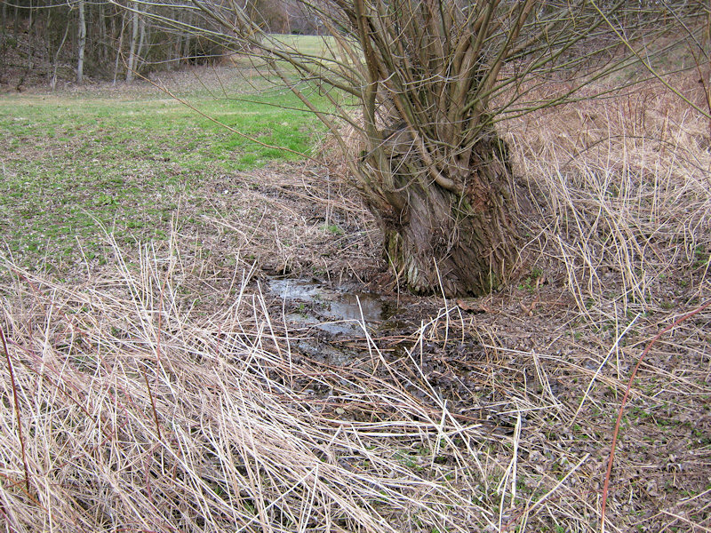 pramen bez jména (2853) - březen 2010