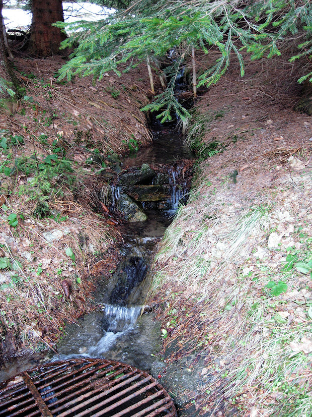 pramen Byčí potok (2855) - březen 2010