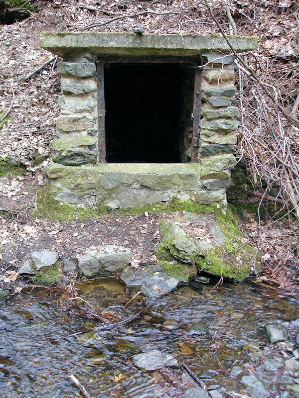 studánka bez jména (2867) - duben 2010