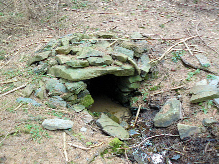 Studánka za Borovou (2875) - duben 2010