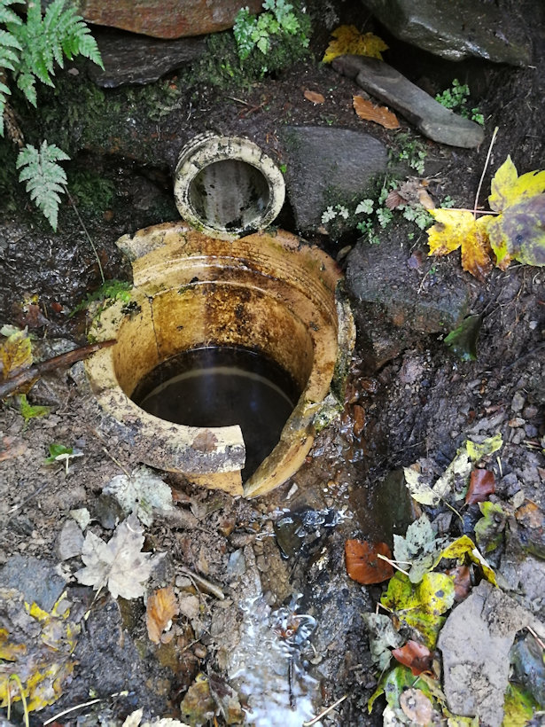 Studánka Bohumíra Pokorného (2878) - říjen 2020