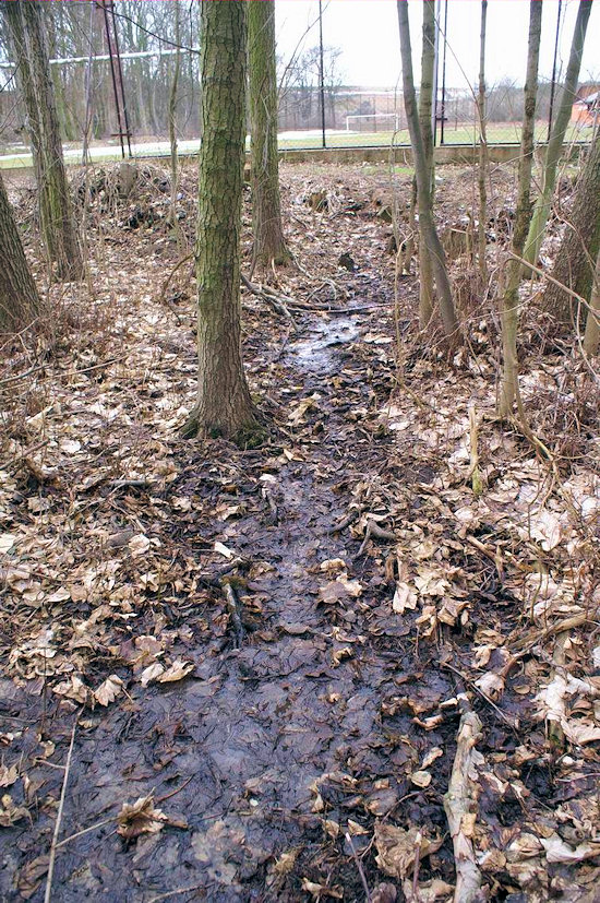 pramen Pod hřištěm (2901) - duben 2010